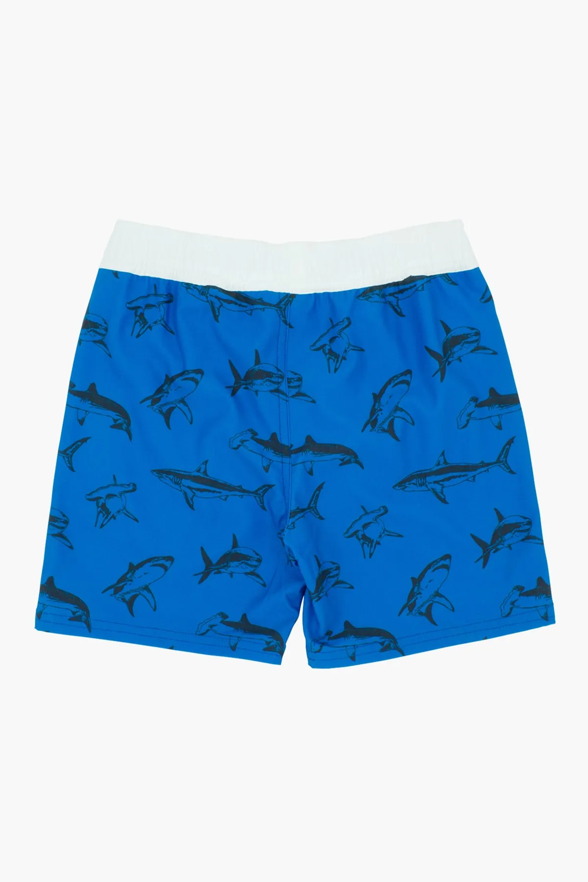 Feather 4 Arrow Sea Kings Volley Boys Swim Short