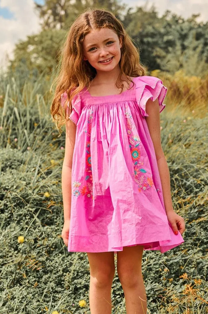 Girls Dress Nellystella Chloe Candy Grape