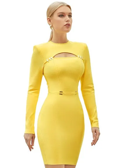 Stylish Long Sleeve Hollow Out Bodycon Dresses For Women